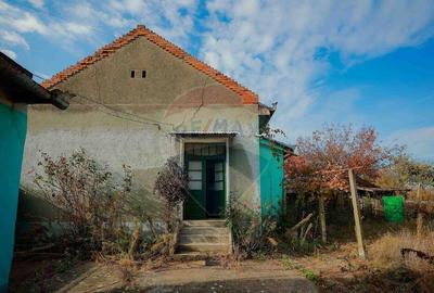 De vanzare casa cu teren de 3036 mp in Bor? - 9