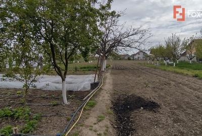 Casa individuala 3 camere, Sanmihaiu Roman - Anexe, 2385 mp teren - 15