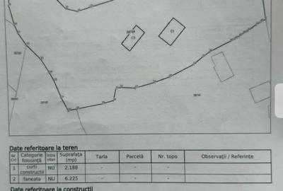 Casă individuală cu 4 camere cu Teren 8400 Mp în Lunca Ilvei - 2