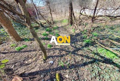 Casă individuală cu 2 camere cu Canalizare în Central - 2