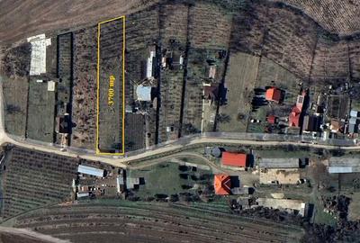 Spațiu comercial, în Gâlmeia - 5