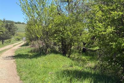 Teren lINTRAVILAN, langa Lempes, construibil Teren lINTRAVILAN, langa Lempes, construibil - 4