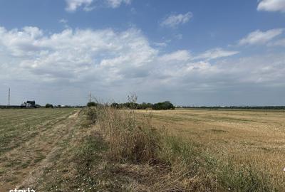 Spațiu comercial, în Vest - 3