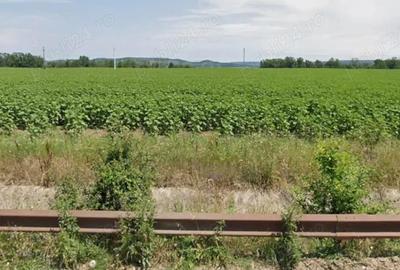 Vand 5,5 ha teren curti-constructii, Cateasca, Arges cu deschidere DJ de aprox. 130 m - 5