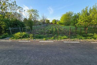 Teren de 1200 mp, în Valea Argovei - 5