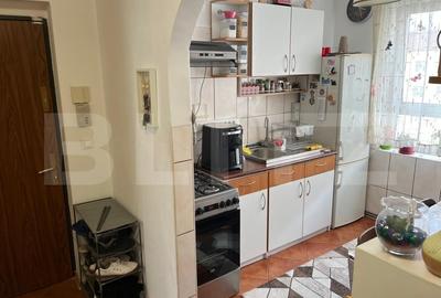 Apartament cu 2 camere, 47 mp, zona Terezian - 3