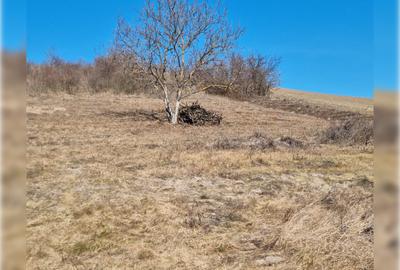 Teren Construcții intravilan de 1400 mp, în Cojocna - 6