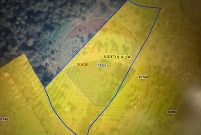 Teren agricol extravilan de 6322 mp, în Central - 2