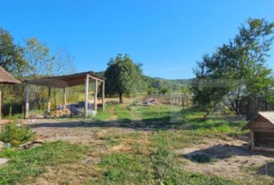 Doua unita?i locative tip cabana sat Pojoga, jud. Hu - 3