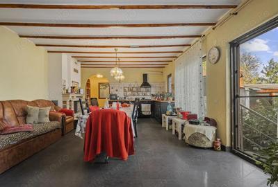 Casă cu Teren 1019 Mp în Merii Petchii - 19