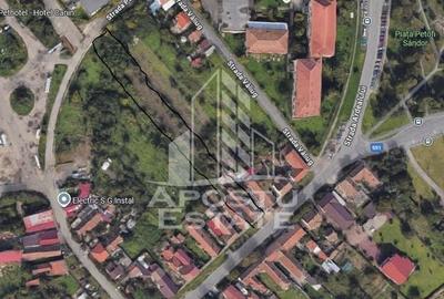 Casa individuala cu teren generos 2158mp, front 12m, livada, Freidorf - 3