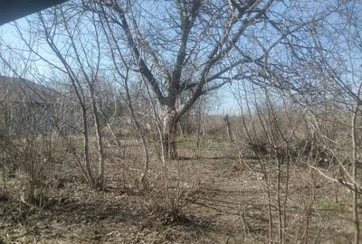 Vind casa batrineasca - 4