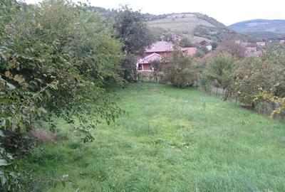 Teren de 581 mp, în Viile Noi - 2