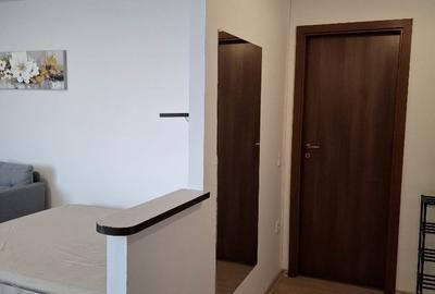 Pridvorului-Garsoniera mobilata si utilata Pridvorului-Garsoniera mobilata si utilata - 5