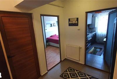 Apartament cu 2 camere decomandat, mobilat în Păcurari - 9