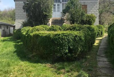 Casă cu 5 camere în Cuvin - 1