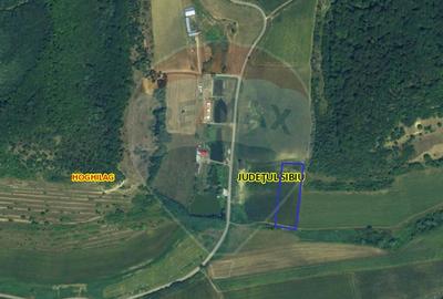 Teren pentru cabana 7.000mp in Hoghilag, Taramul Tubero... - 7