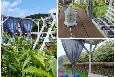 Spațiu comercial, în Feleacu - 5