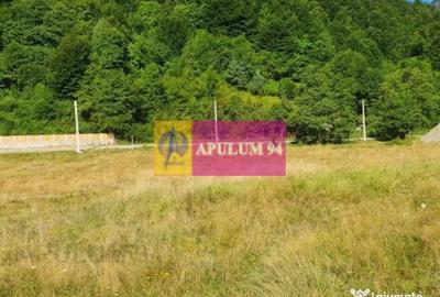 Teren de 744 mp, în Brezoi - 7