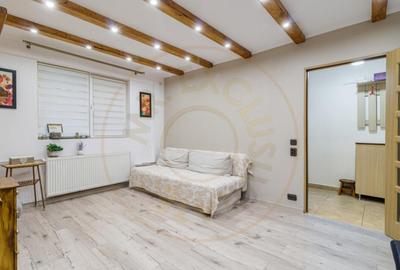Apartament 2 camere Timisoara-Plaza - 9