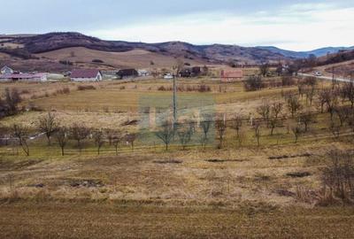 Teren Construcții intravilan de 1500 mp, în Bonț - 4