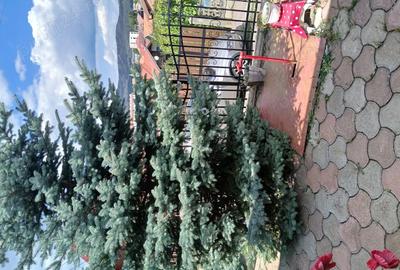 Casă în Central - 5