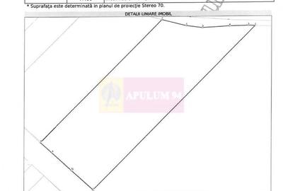 Vanzare teren intravilan agricol in zona Mihailesti, Giurgiu - 6