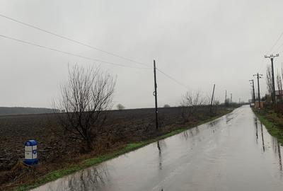 Teren Construcții extravilan de 27800 mp, în Petrăchioaia - 4
