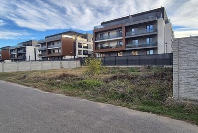 Theodor Pallady, Gura Calitei - 4