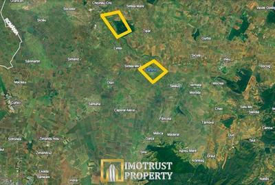 Spațiu comercial, în Zărand - 4