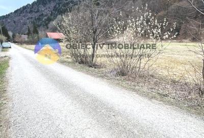 TEREN zona de munte TARCAU - 8