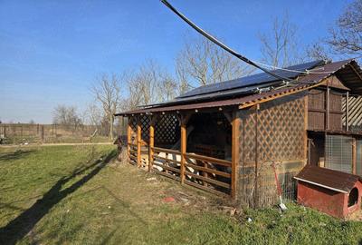 Casă cu Teren 1200 Mp în Blejești - 1