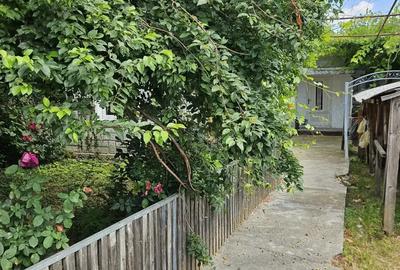 Casa de vanzare, com. Maracineni, sat Potoceni, jud. Buzau - 3