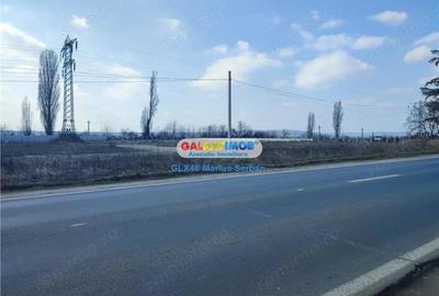 Teren de 9600 mp, în Aninoasa - 7