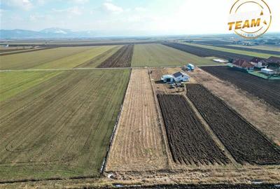 Teren Construcții intravilan de 2498 mp, în Chilieni - 5