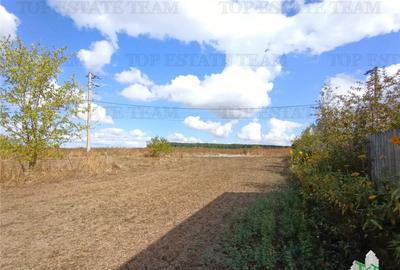 Teren de 1235 mp, în Petrăchioaia - 4