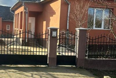 Casă cu 6 camere cu Teren 20000 Mp în Micula - 1