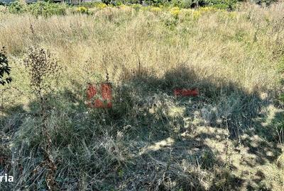 Spațiu comercial, în Central - 5