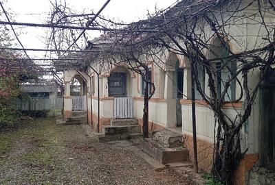 Casă cu 3 camere cu Teren 4000 Mp în Racovița - 9