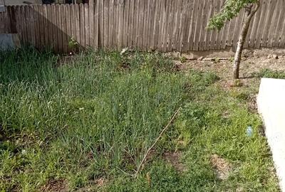 Casa de vanzare, cartier Tuguiata, renovata recent. - 2