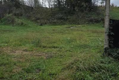 Casă cu 2 camere în Strei - 4