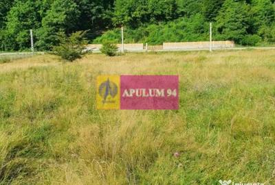 Teren de 744 mp, în Brezoi - 9