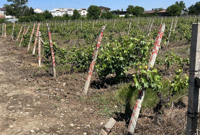 Spațiu comercial, în Odobești - 3