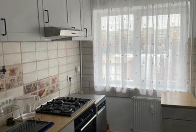 Apartament cu 2 camere semidecomandat, mobilat în Tudor Vladimirescu - 2