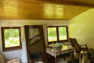 Cabana cu 4 camere, zona Șugag - Tau – Bistra - 4