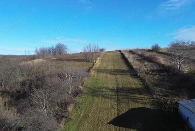 Teren de 2460 mp, în Burdujeni - 9