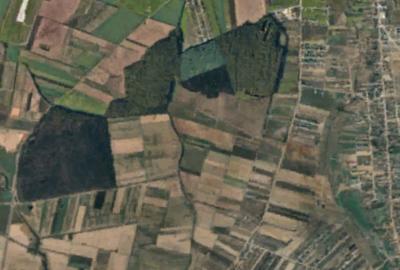 Spațiu comercial, în Borș - 3