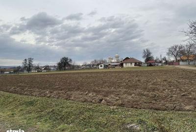 Teren de 27 mp, în Mitocu Dragomirnei - 10