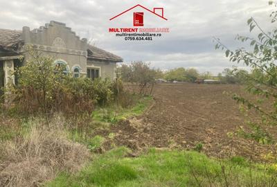 Casă cu 3 camere cu Teren 3895 Mp în Rândunica - 4