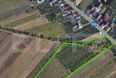Teren 24.712 mp, parcelabil, zona Nord - 3